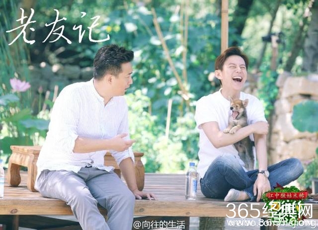 尴尬!何炅黄磊刘宪华新综艺未播出就被网友骂