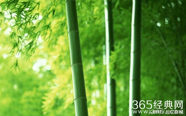 得科普对联知识的瑰宝级电视剧《联林珍奇》么