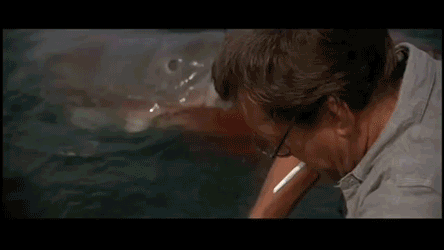 壁纸 剧照 视频截图 444_250 gif 动态图 动图