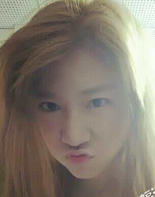 蜜蜂少女队罗姝涵个人资料背景