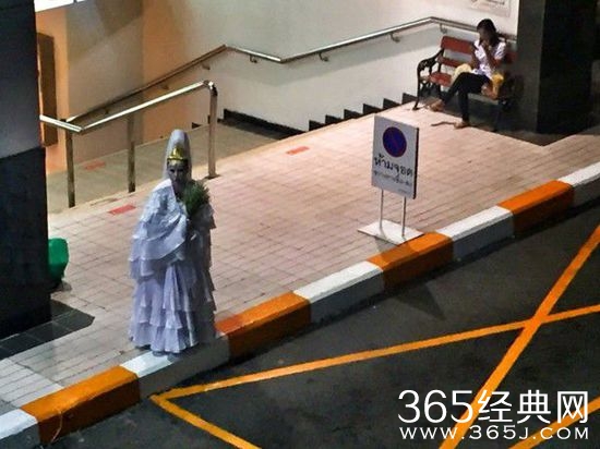 司机大哥夜车开多了不怕。