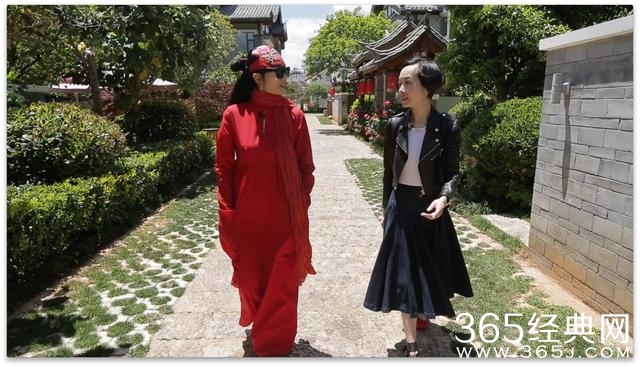 《鲁豫有约》全新升级 打造独家探秘大咖一日行