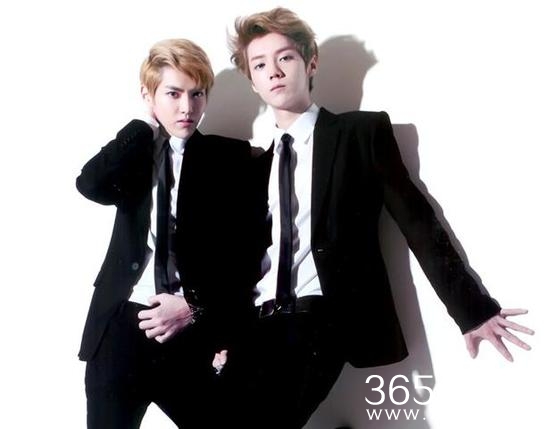 华鼎公布票选数据 最佳新人是鹿晗还是吴亦凡