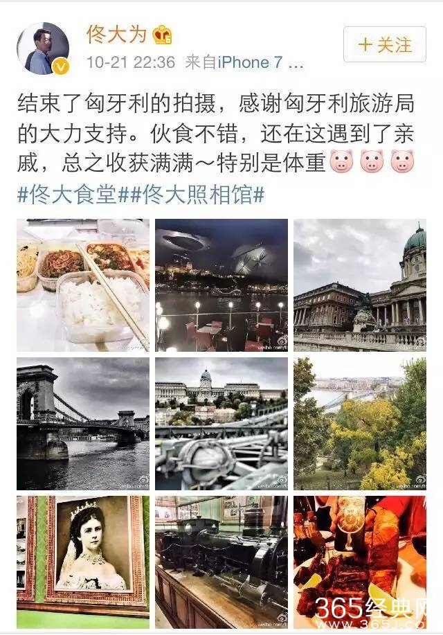 佟大为上综艺节目大显厨艺