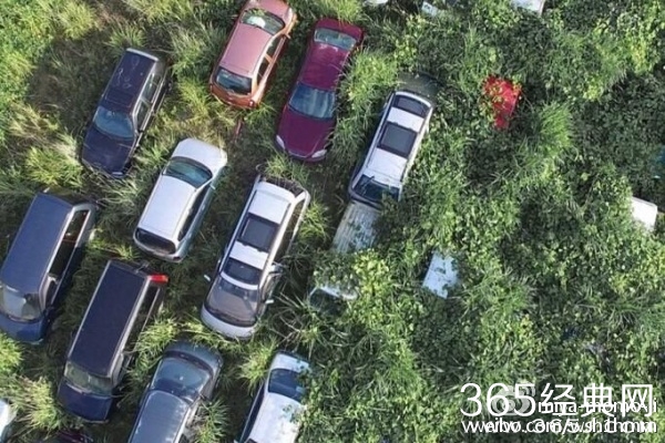 日本1.3万辆二手车因放射物质超标被禁止出口