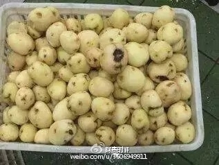 网曝陕西汉中某私立学校餐厅 家长们气炸