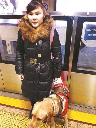 周青与导盲犬一起出行