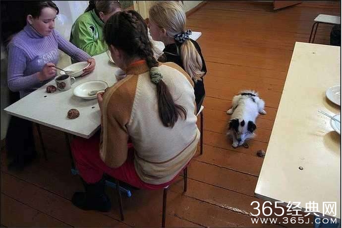 俄罗斯农村穷的让中国人震惊：年轻人唯一出路是当兵