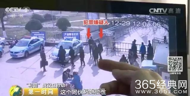 最新碰瓷伎俩曝光 专讹低头族