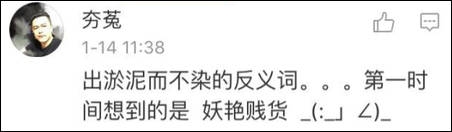 纽约高中中文试卷流出 中国网友表示我可能学的假中文