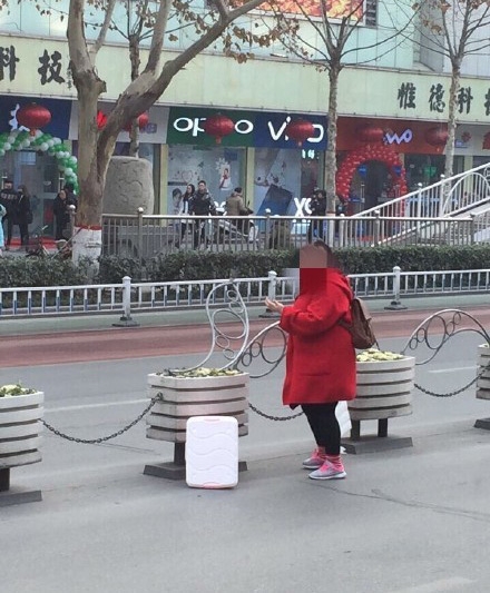 彪悍的女子过马路不怕栏杆 嫌隔离栏挡路女子竟徒手将其掰掉