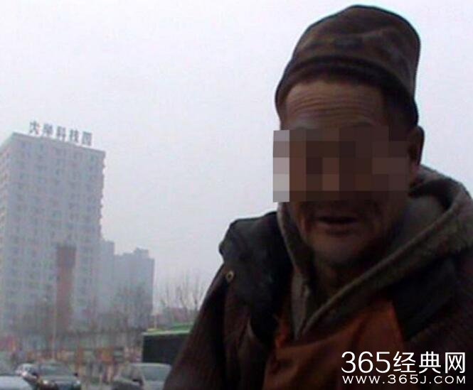 老人胡同散养猪50年臭气熏天图片曝光