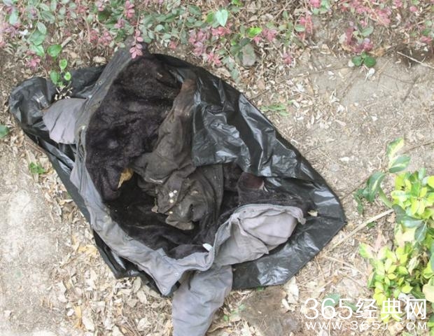 草丛遗下一件外套及一件T恤