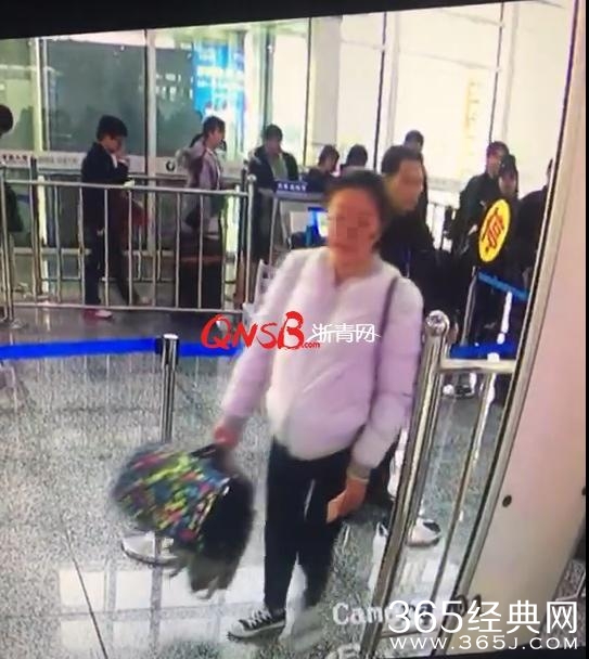 杭州一女大学生肚子藏猫扮孕妇去坐火车 火车上能带猫吗