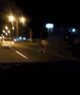 巴拉圭情侣边骑摩托车边不可描述现场照片