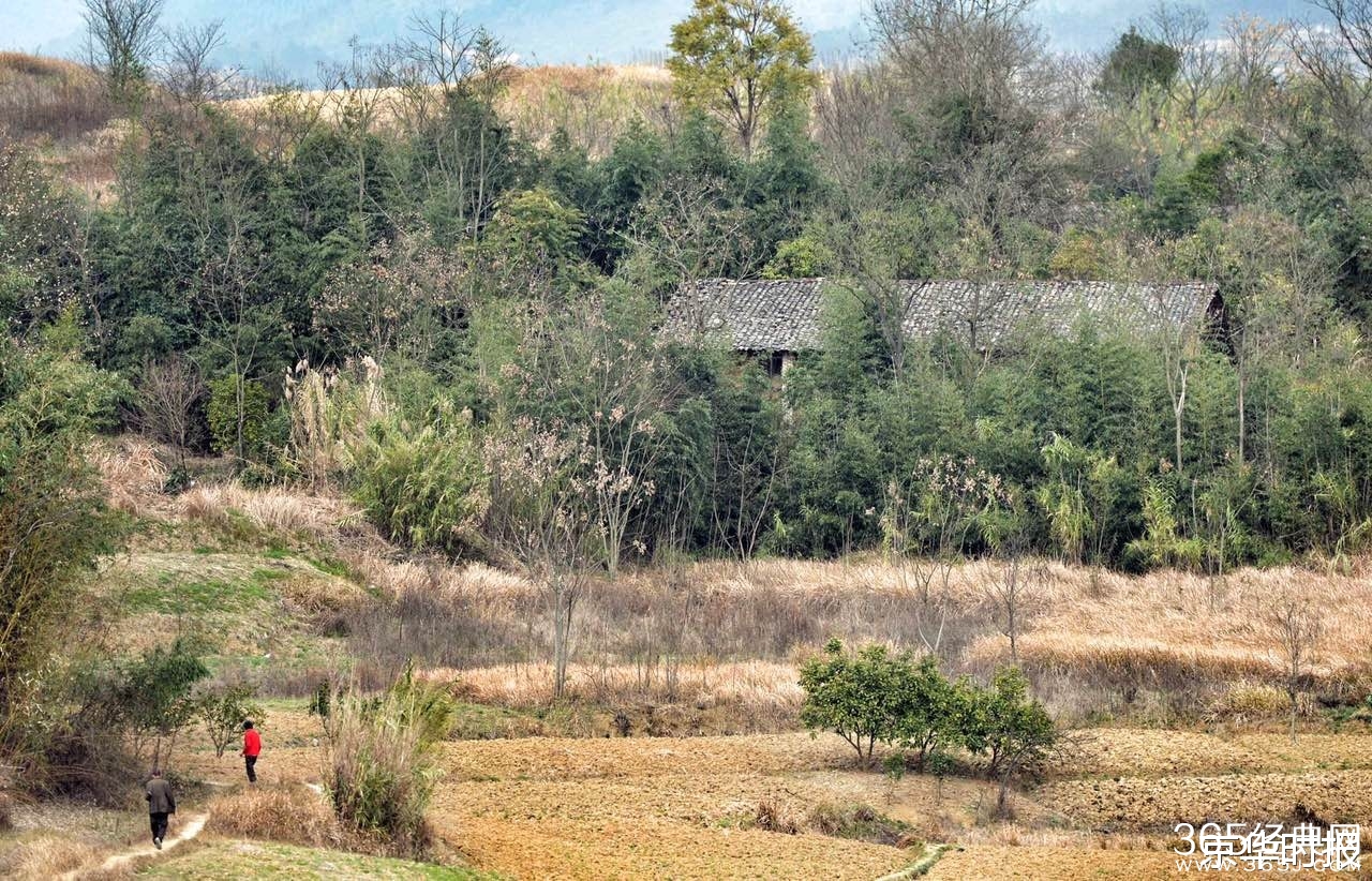 4月大男婴与狗同睡地铺 被咬掉两根手指