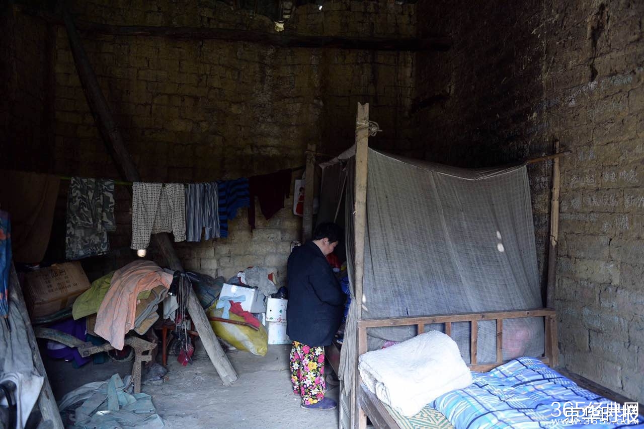 4月大男婴与狗同睡地铺 被咬掉两根手指