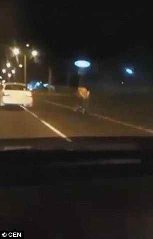 巴拉圭情侣边骑摩托车边不可描述现场照片