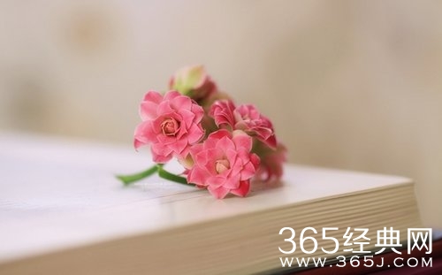 经典语录：我喜欢你，无关风月