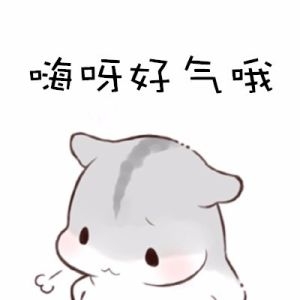 好气哦