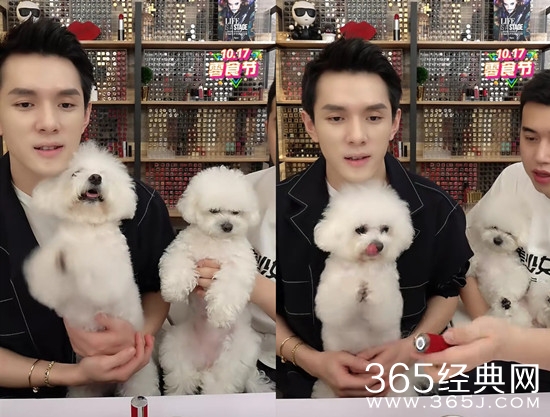 李佳琦什么时候卖狗啊是什么梗 李佳琦的狗是什么品种
