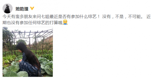 李子柒参加录制《野生厨房》?李子柒助理回应没有参加综艺