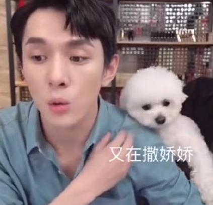 董子初内涵李佳琦 粉丝在直播间直言要李佳琦道歉？