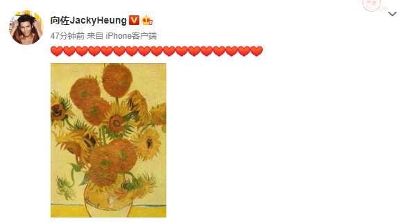 向佐晒向日葵图片  疑回应“葵花夫妇”感情如旧