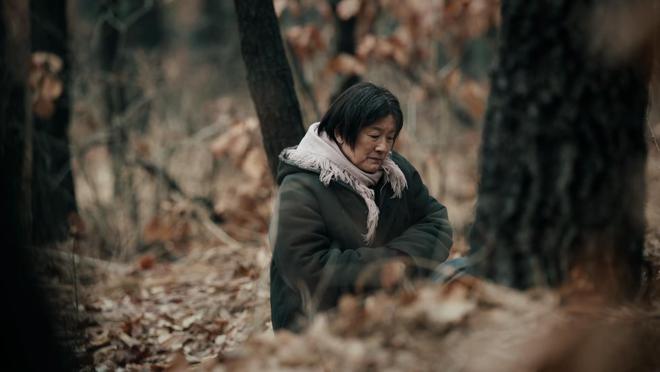 《我们的日子》里雪花一出来，观众坐不住了：这种剧也搞裙带关系