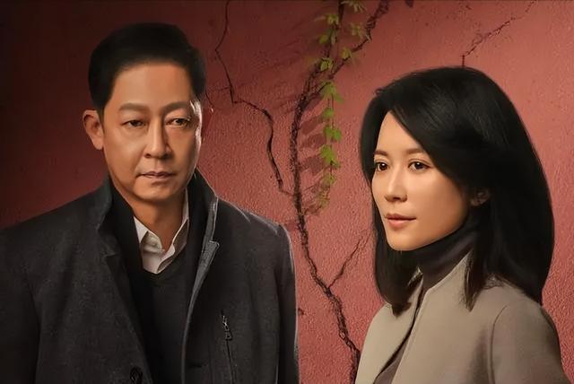 好家伙！才播1集就收视第一，观众好评如潮，这把央视又稳赢