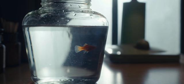 《立功·东北旧事》表面大团圆的结局，留下了太多的遗憾