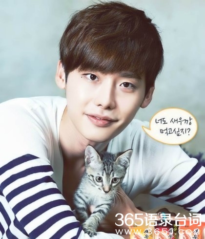 doctor异乡人经典台词