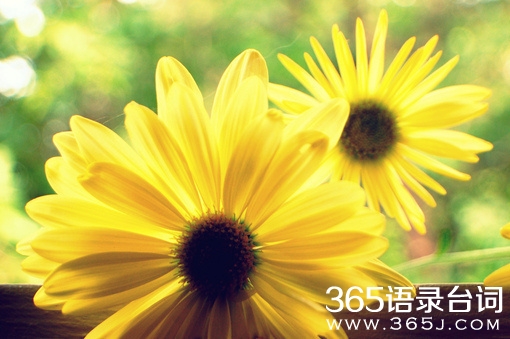 20句触动心灵的经典人生感悟