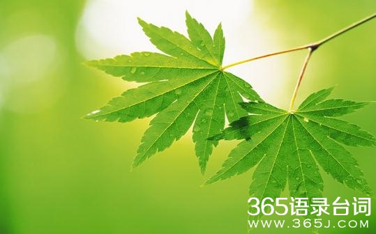 积极的心态决定一切