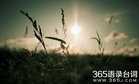 人生在世，走走“弯路”也无妨