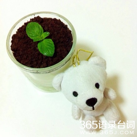 盆栽酸奶的文艺范