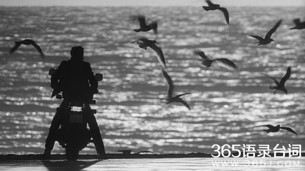 公路电影是什么意思