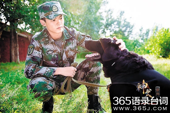 神犬奇兵搞笑台词