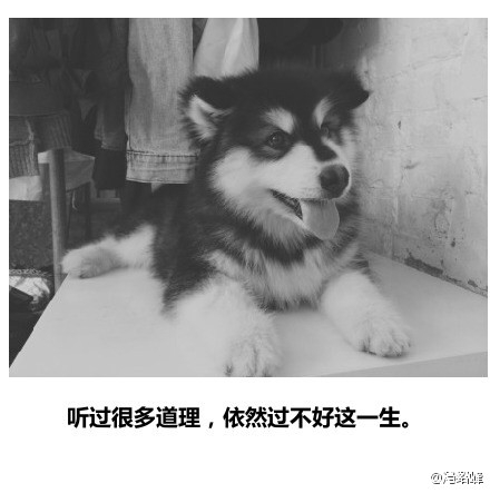 后会无期影评_后会无期观后感_后会无期评论