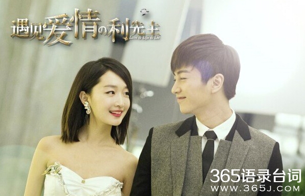 遇见爱情的利先生剧情介绍