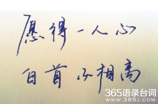 愿得一心人 白头不相离