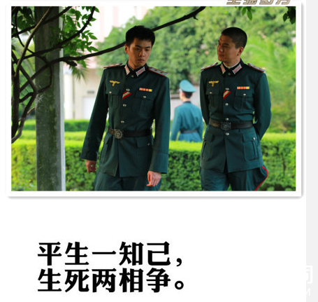 雪豹坚强岁月经典台词