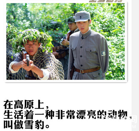 雪豹坚强岁月经典台词