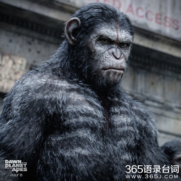 猩球崛起2中的插曲The Weight英文歌词