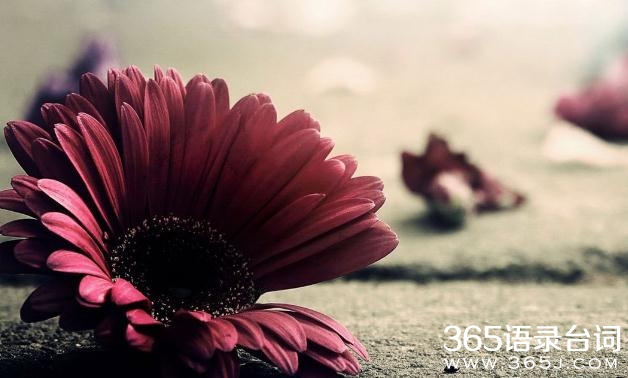 感悟人生的经典个性签名语录_经典人生感悟语句