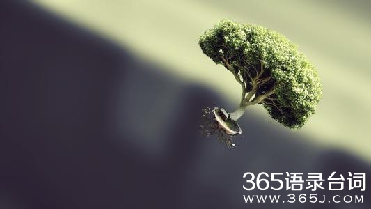 你的奢望要配得上你的本事