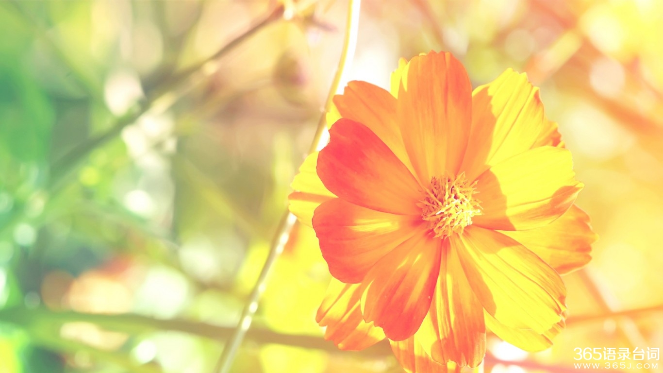 输不起永远别想赢