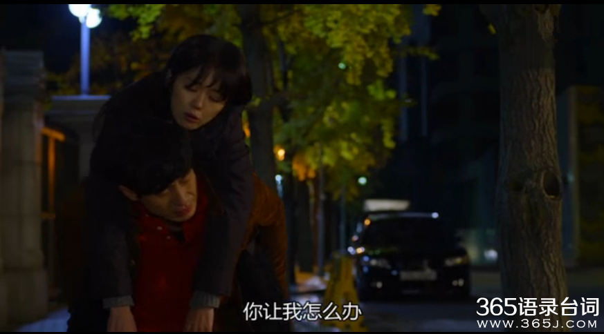 白先生剧情介绍白先生张娜拉申河均