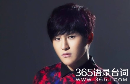 李炜全球限量版歌词