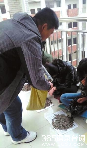 老师花钱请同学嗑瓜子图_365语录台词